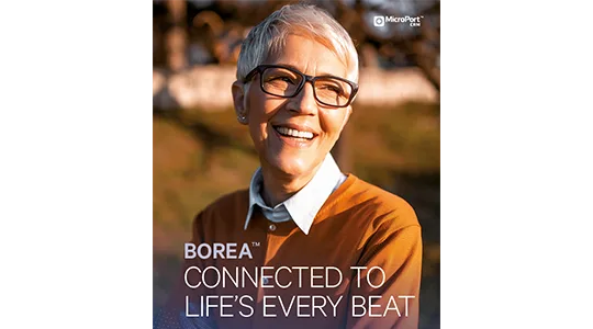 BOREA™ Borea brochure cover 1