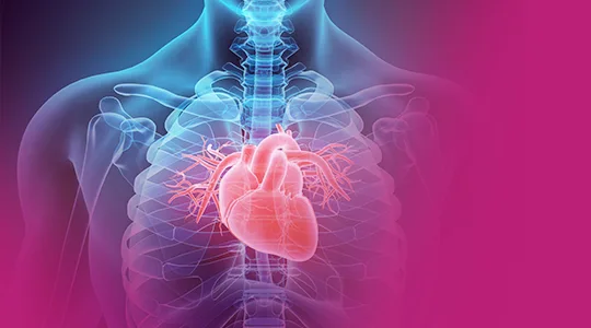 Bradykardie Patients Abnormal Heartbeat bradycardia1 1