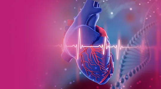 Bradykardie Patients Abnormal Heartbeat bradycardia2 1