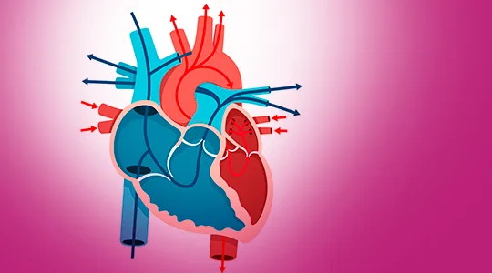 Tachykardie Patients Abnormal Heartbeat Tachycardia1 1