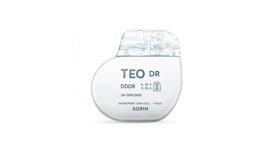 TEO TEO DR Micro Port 2018 1